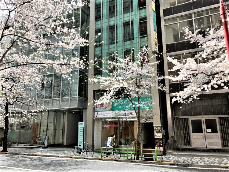 日本橋さくら通り店