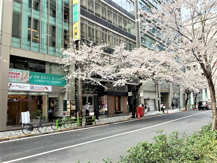 日本橋さくら通り店