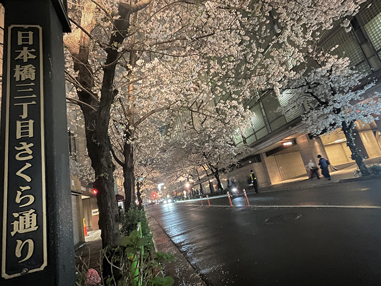 日本橋さくら通り店